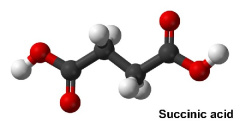 Succinic acid
